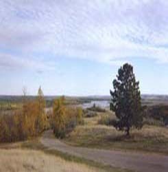 State Photo